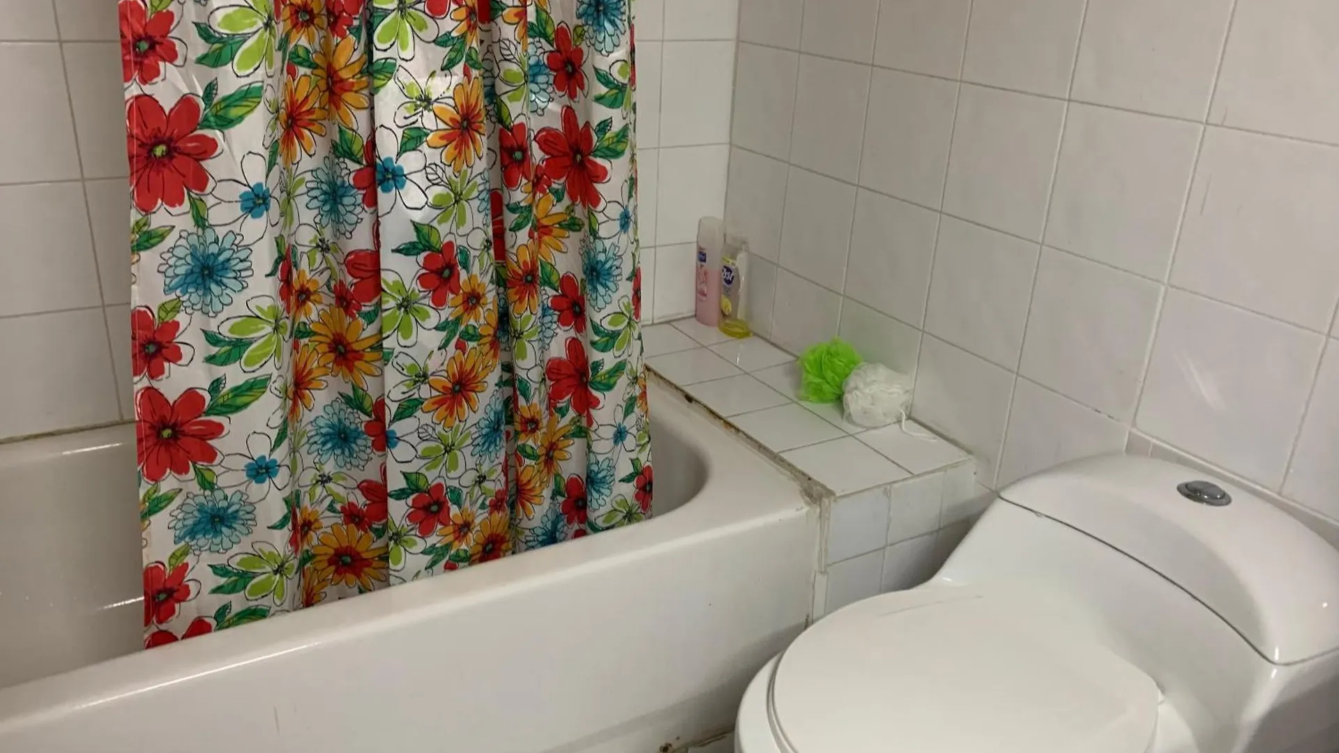Garden Studio Montego Bay Apart-hotel